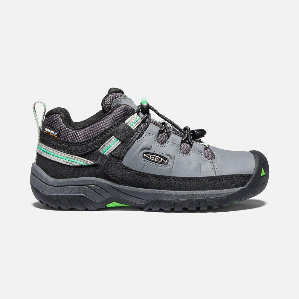 Keen Wandelschoenen Kinderen Grijs/Groen - Targhee Waterproof - 23598-EDTI